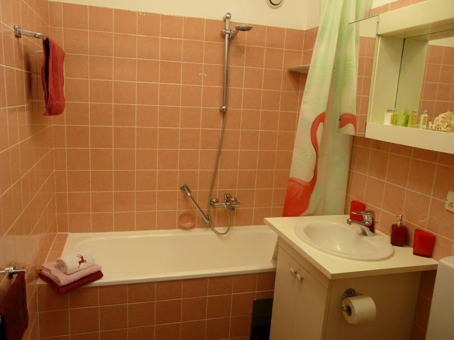 Kleine Feine Wohnung In Toplage Bludenz Εξωτερικό φωτογραφία
